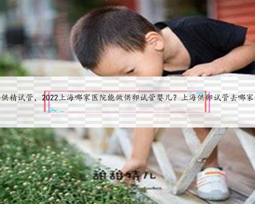 上海供精试管，2022上海哪家医院能做供卵试管婴儿？上海供卵试管去哪家做？
