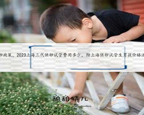 上海供卵政策，2023上海三代供卵试管费用多少，附上海供卵试管生男孩价格流