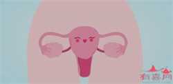 代孕成功案例，输卵管阻塞何时可以做试管婴儿