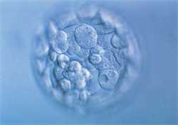 借卵生子成功率非常高_哪些子宫颈因素可引起女