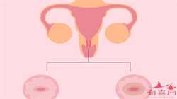 找代孕,龙岩借卵生子整个周期花费多少,关于女性