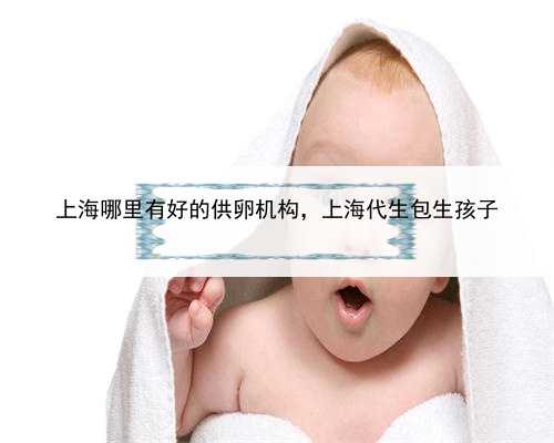 上海哪里有好的供卵机构，上海代生包生孩子