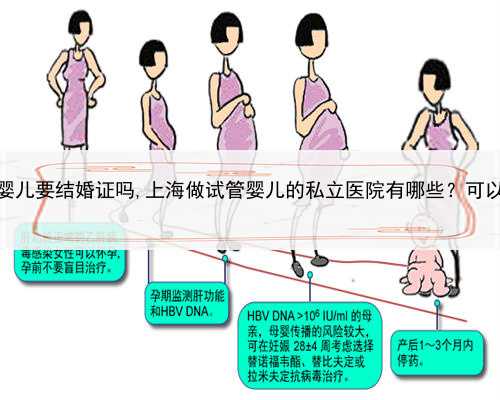 私立医院做试管婴儿要结婚证吗,上海做试管婴儿的私立医院有哪些？可以不要